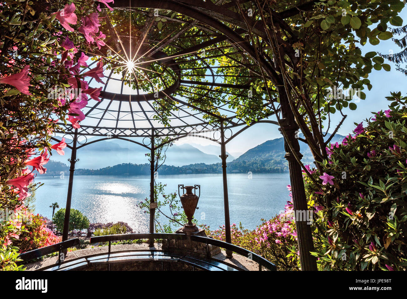 Villa Carlotta a Tremezzo, Lago di Como, Lombardia, Italia. Dettagli del giardino della villa in fiore. Foto Stock