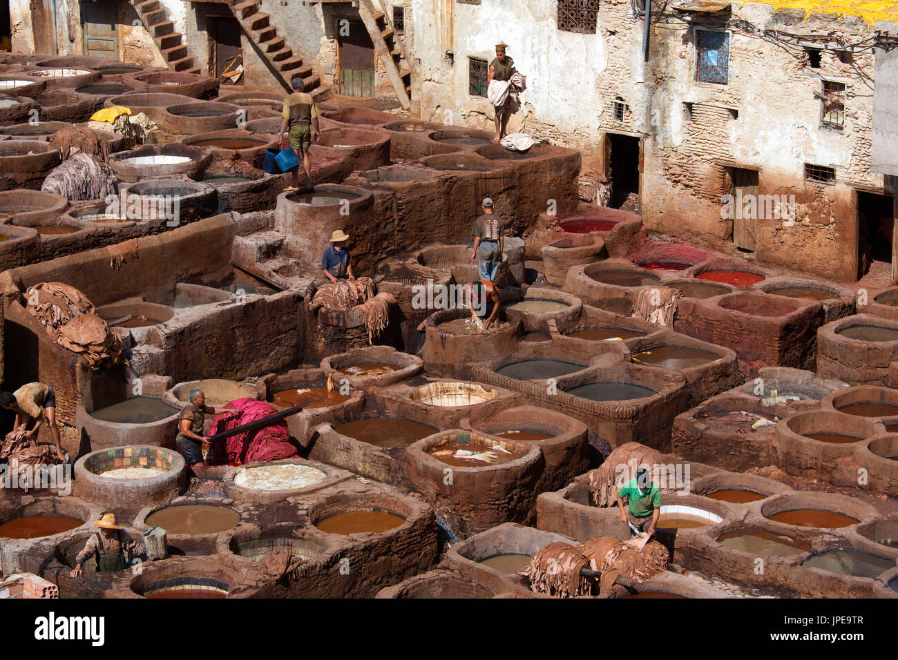 Nord Africa,Marocco,quartiere Fes,Conceria di Fez,Chouara conceria. Lavorazione del cuoio Foto Stock