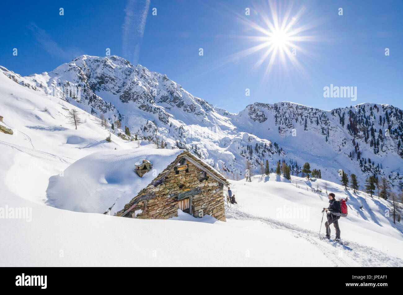 Pascolo nella parte anteriore del Mont Mars (valle di Gressoney, Valle d'Aosta, Alpi Italiane, Italia) Foto Stock