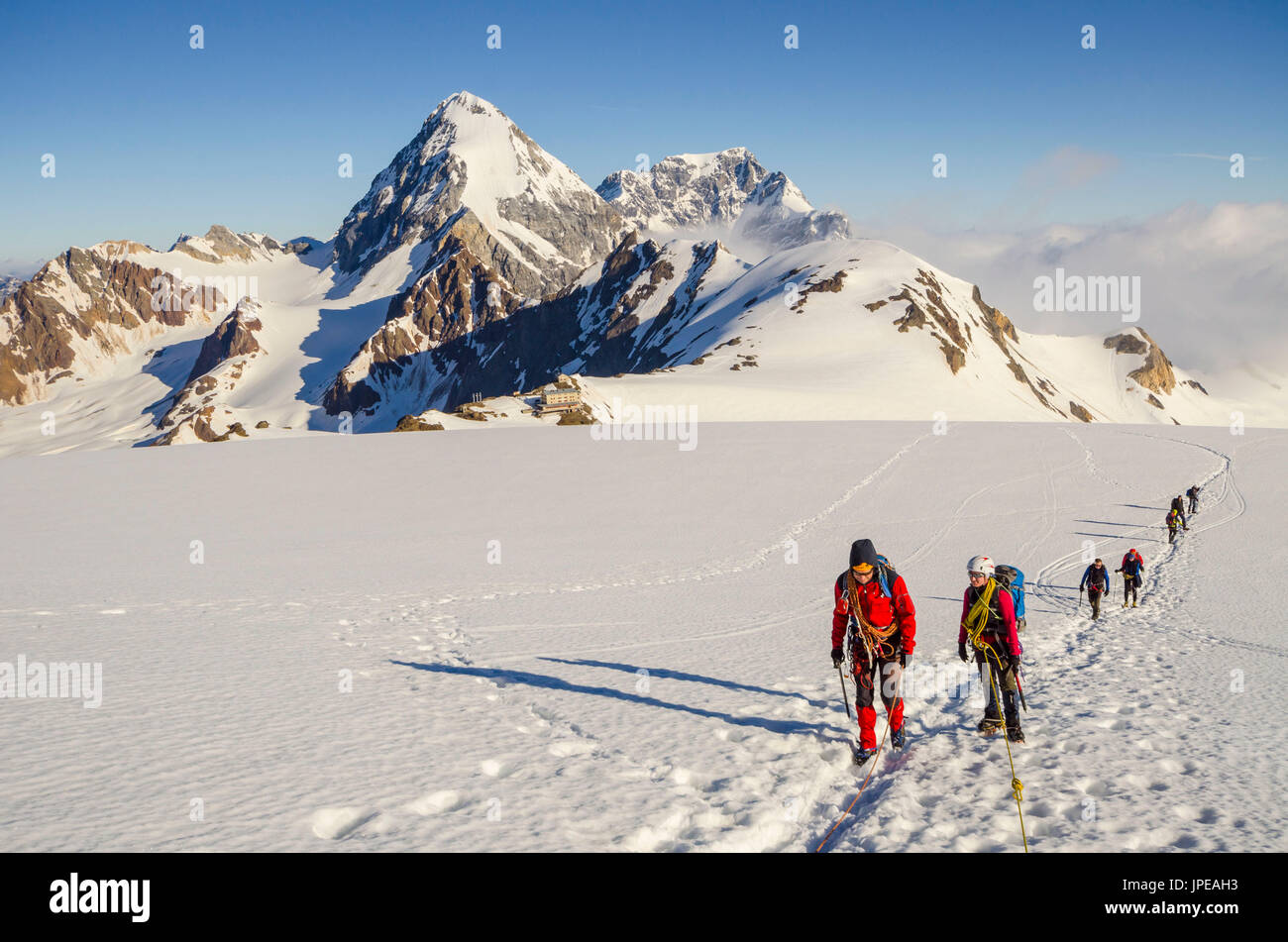 Alpinista sul ghiacciaio Langenferner (Valtellina, Lombardia, Alpi italiane) Foto Stock