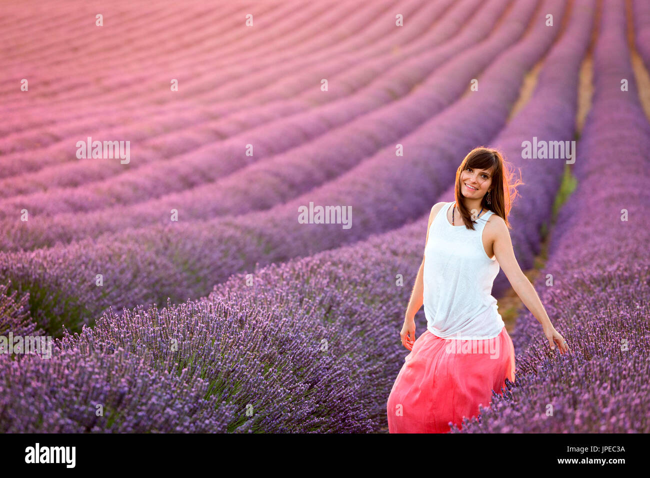 Altopiano di Valensole, Provenza, Francia. Giovane ragazza al tramonto in un campo di lavanda in fiore Foto Stock