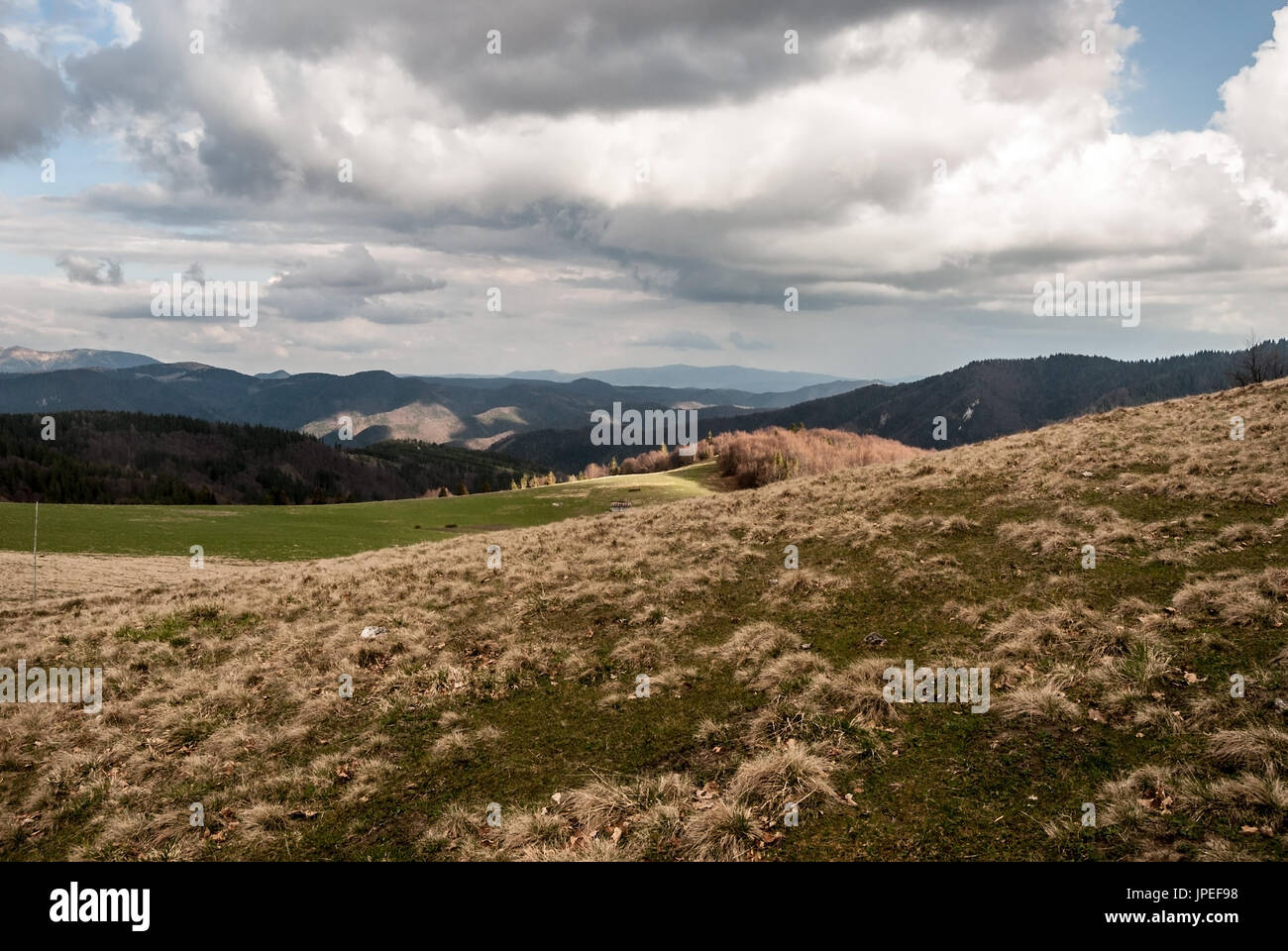 Visualizzare durante le escursioni su Velka Fatra cresta principale vicino Chyzky guidepost in Slovacchia con prato di montagna, Nizke Tatry e Veporske vrchy gamme della montagna un Foto Stock
