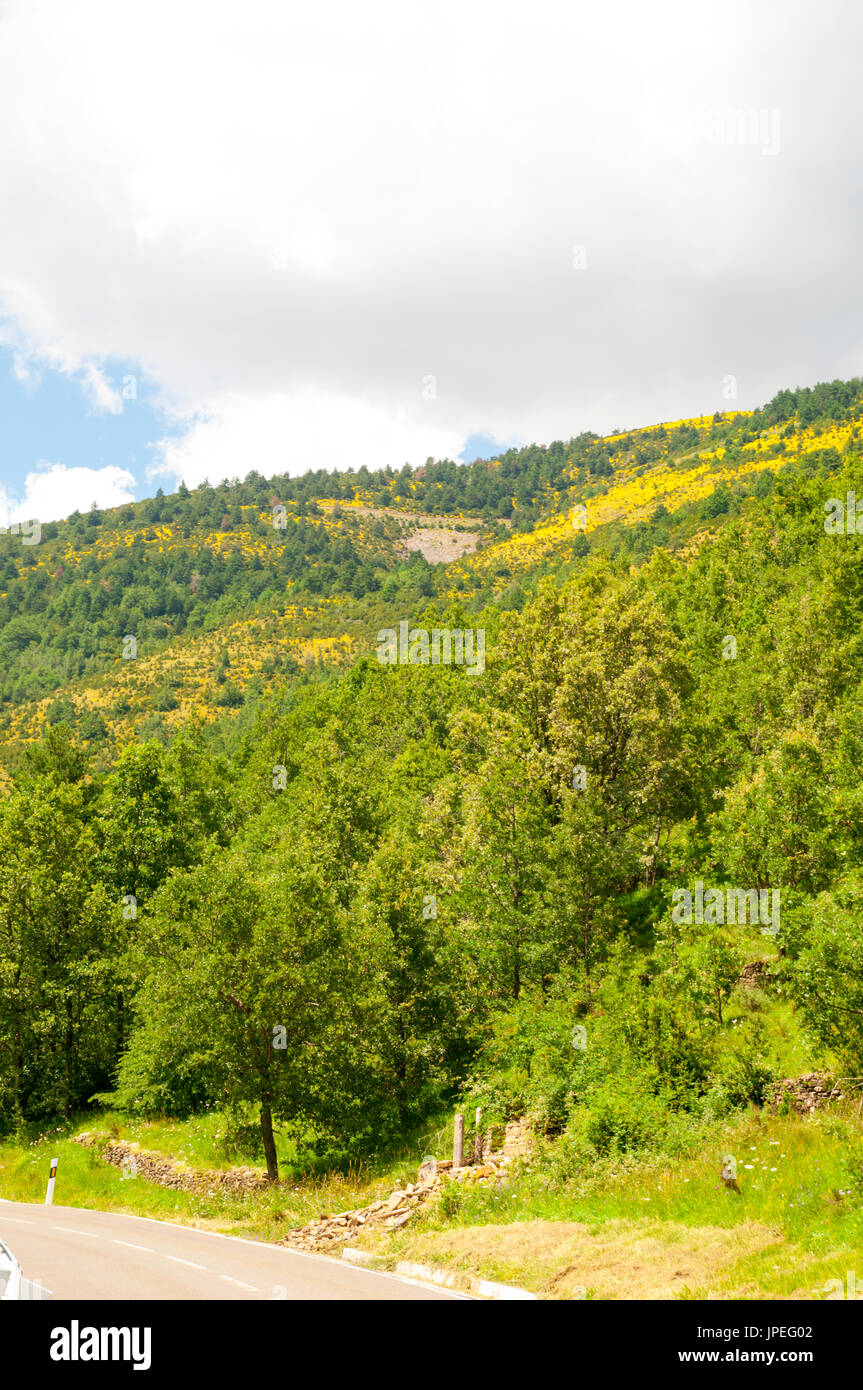 Ordesa Valley national park a Huesca Pirenei aragonesi, Spagna Foto Stock