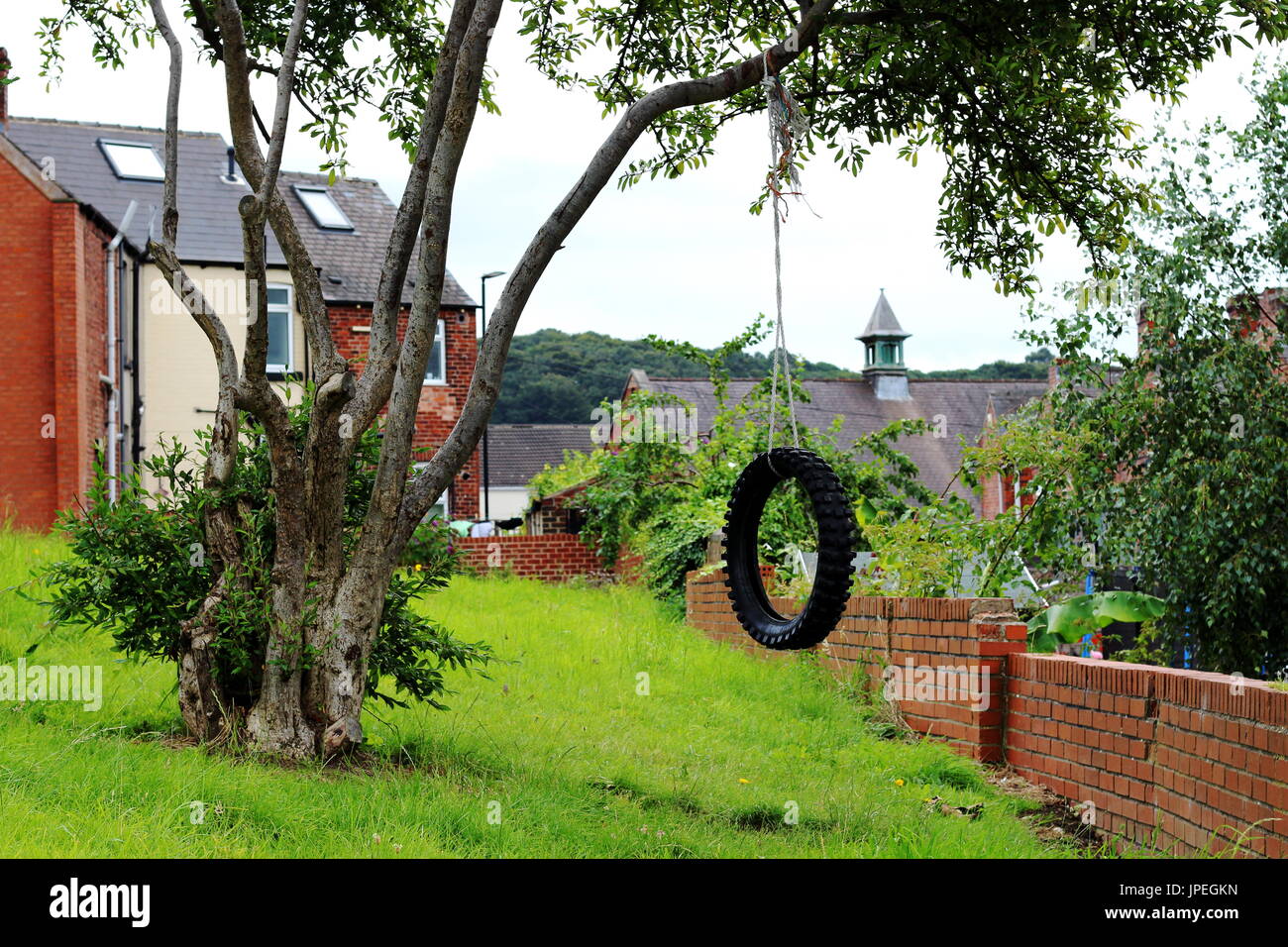 Tire Swing appeso a un albero in un verde dietro l'alloggiamento in Sheffield, Regno Unito Foto Stock