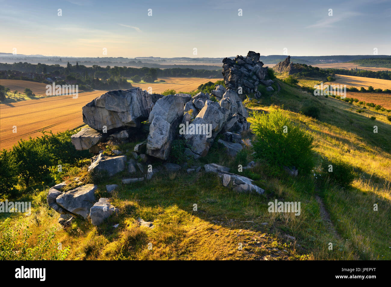 Formazione di roccia, riserva naturale Teufelsmauer, la luce del mattino, vicino Weddersleben, Harz, Sassonia-Anhalt, Germania Foto Stock