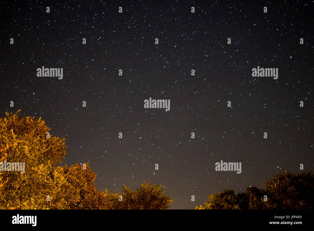 Cielo di notte - paesaggio di notte con il cielo limpido e molte stelle Foto Stock