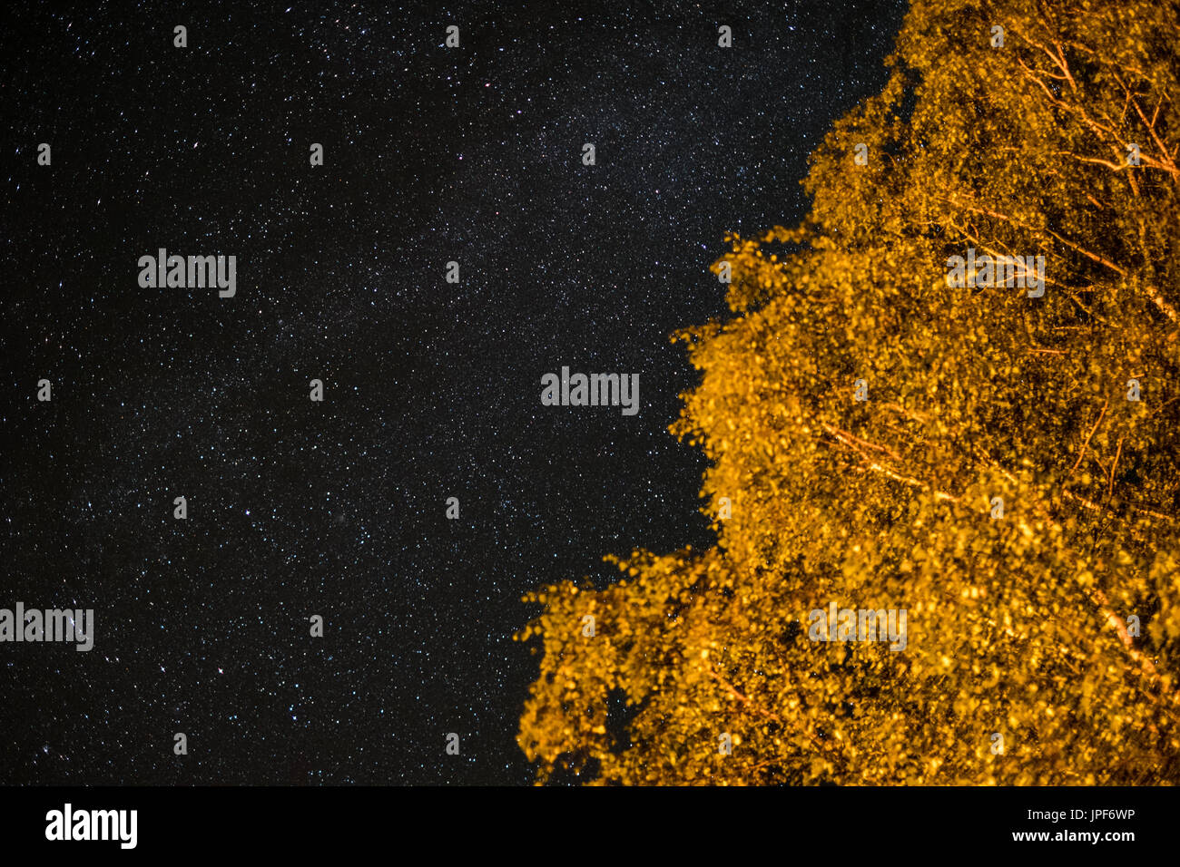 Cielo di notte - paesaggio di notte con il cielo limpido e molte stelle Foto Stock