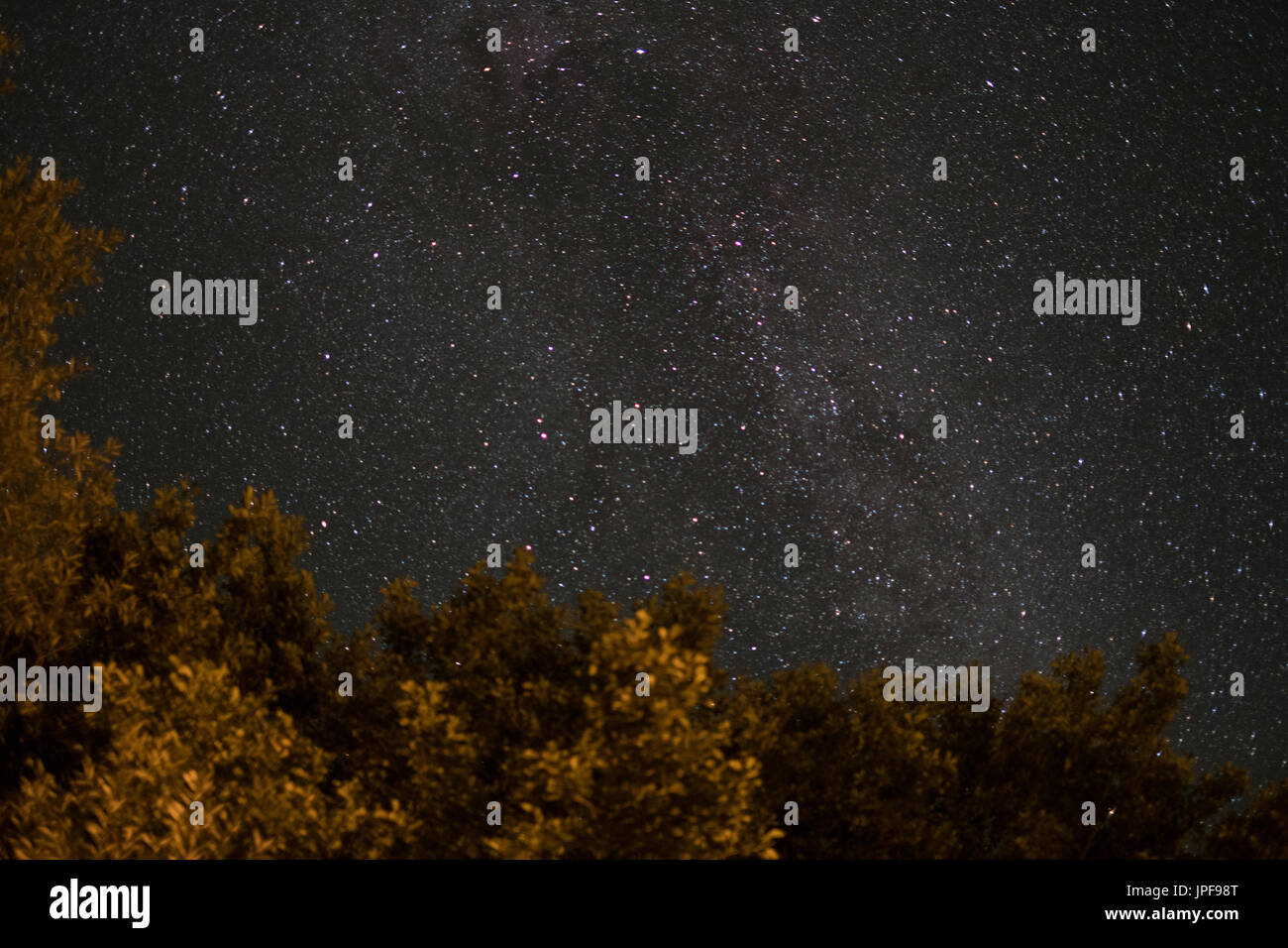 Via lattea di notte , sky e albero di notte Foto Stock