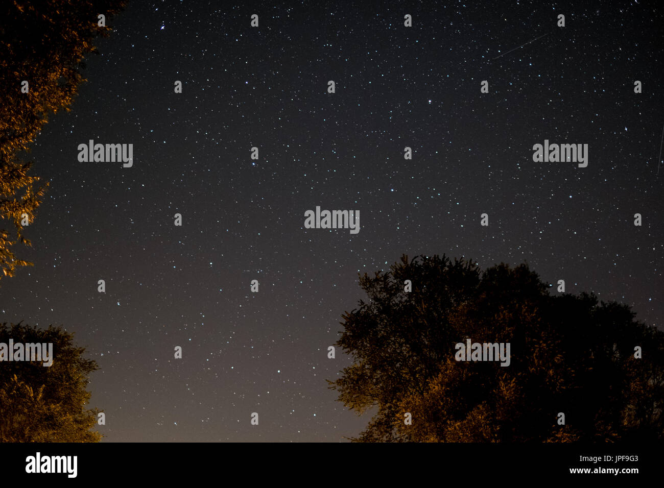 Cielo di notte - paesaggio di notte con il cielo limpido e molte stelle Foto Stock