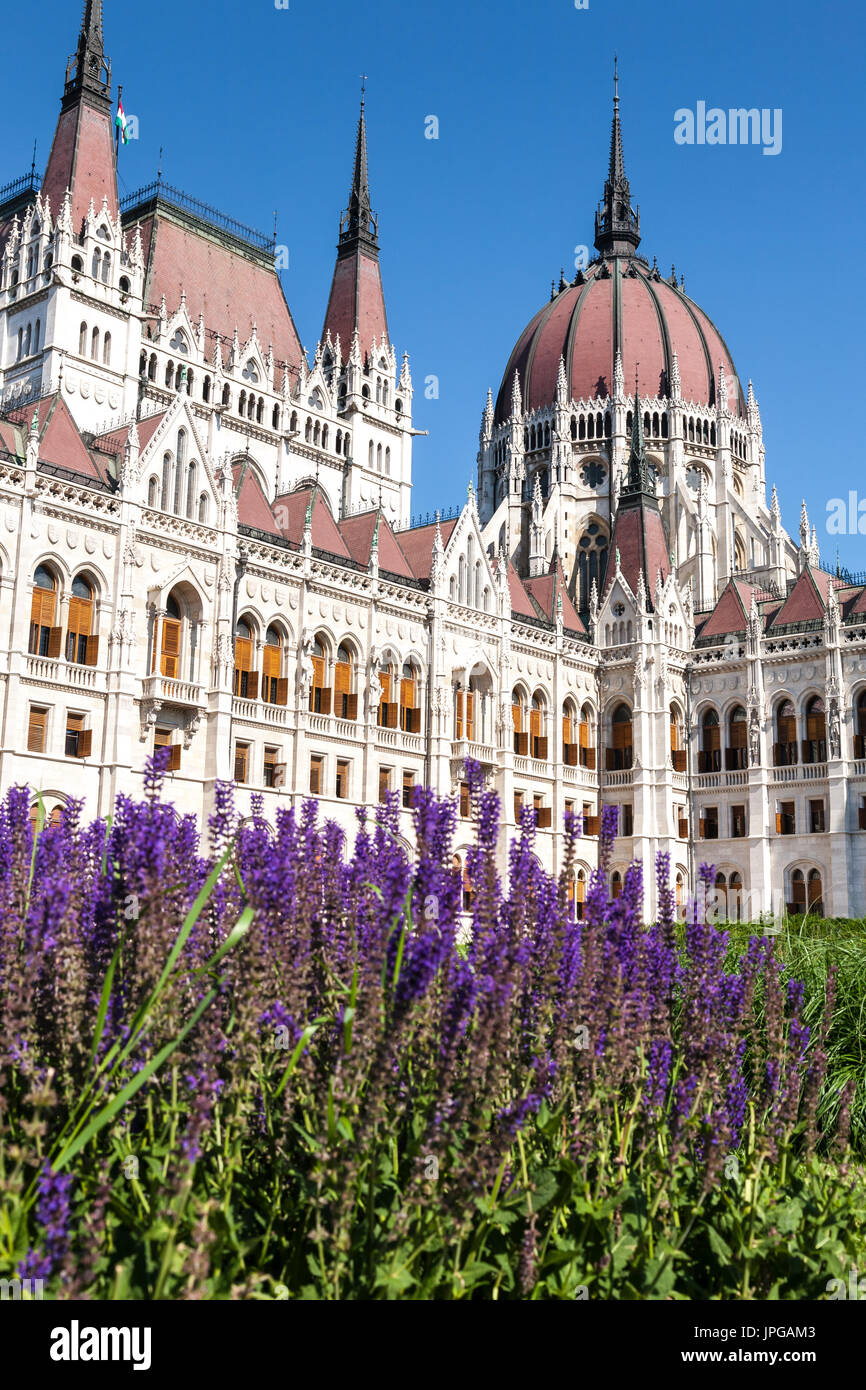 Il neo-gotico del parlamento dell'Europa Orientale di Ungheria nel capitale di Budapest con alcuni fiori in primo piano Foto Stock
