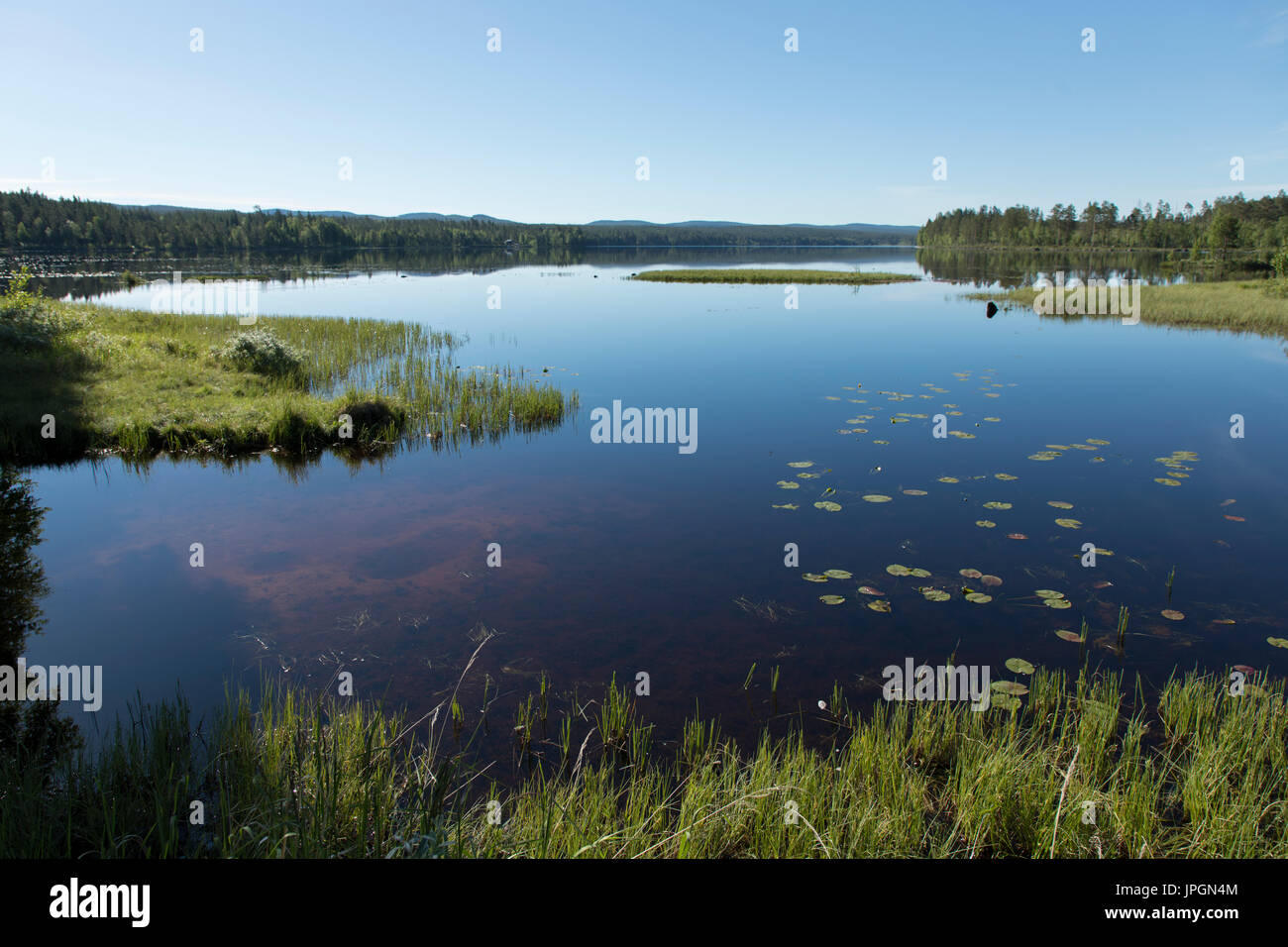 Una vista sul lago e una foresta nel retro nella parte settentrionale della Svezia Foto Stock