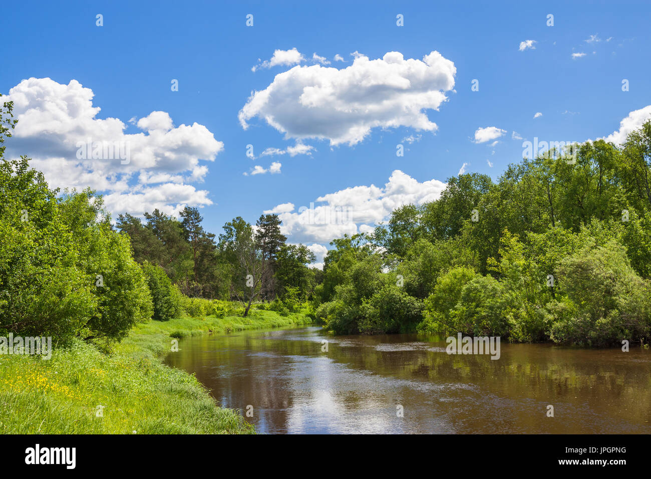 Bella estate rurale paesaggio con la foresta, fiume, cielo blu e nuvole bianche. primavera paesaggio con lago, vista. Foto Stock