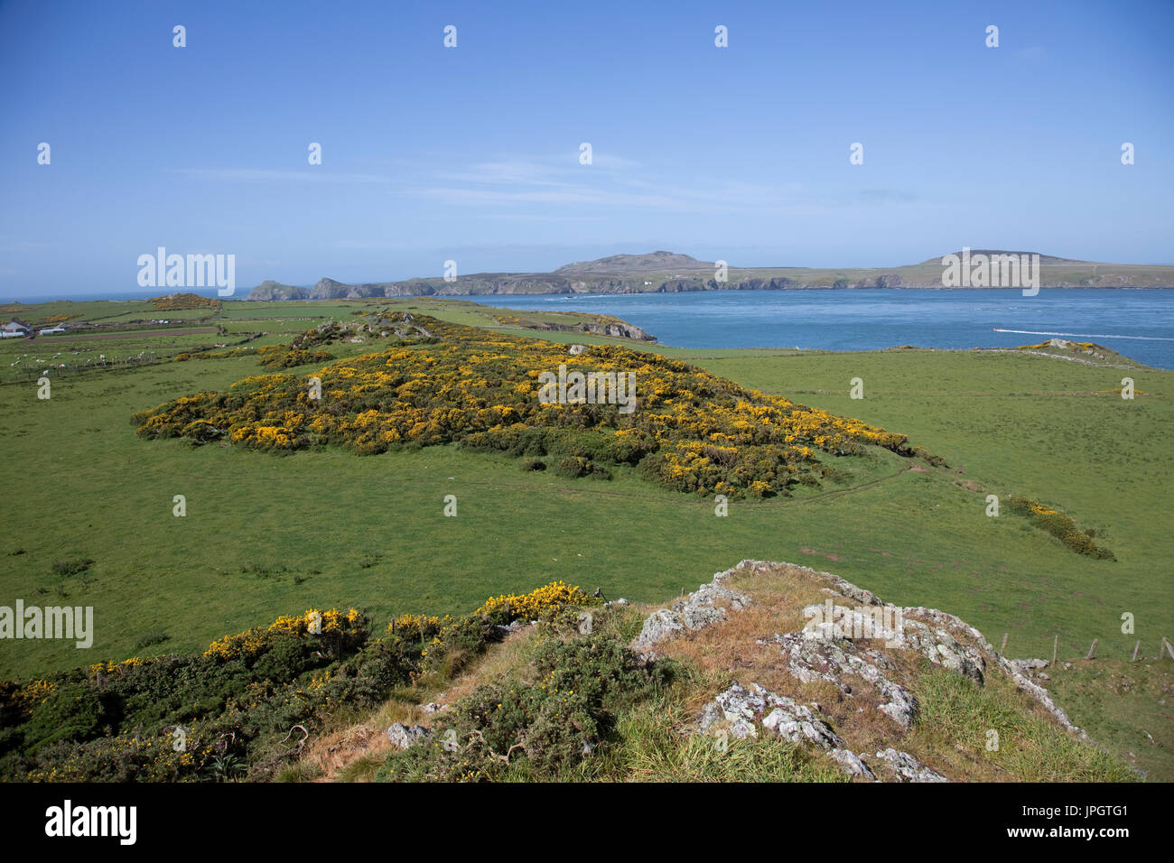 Ramsay Isola da costa affacciato sul suono ransay vicino a St Davids pembrokeshire regno unito Foto Stock