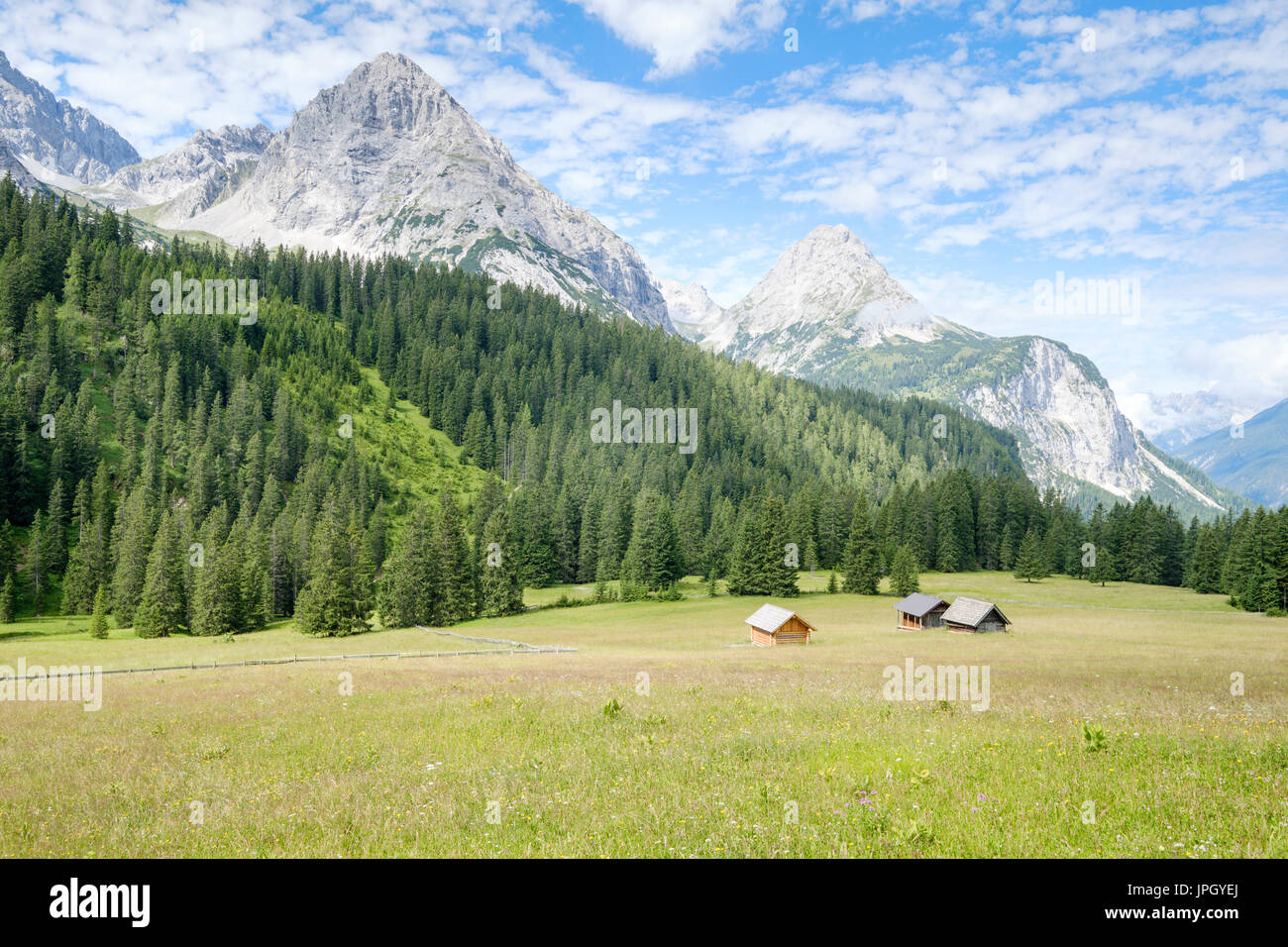 Le montagne e i pascoli da Ehrwalder Alm, Ehrwald, Tirolo, Austria Foto Stock