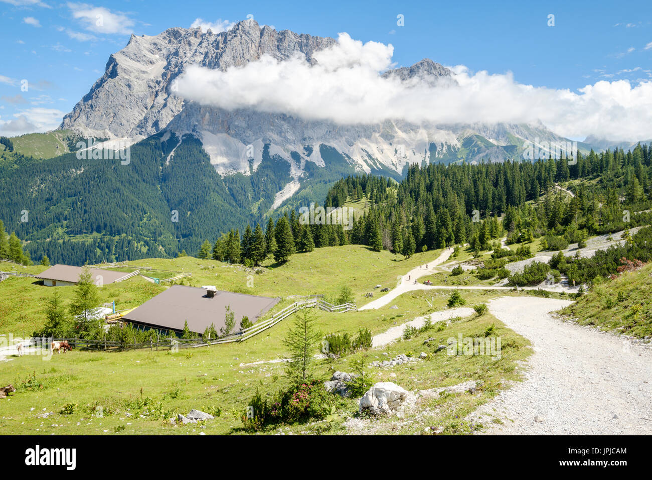 Vista dalla Seebenalm alla montagna Zugspitze gamma, Ehrwald, Tirolo, Austria Foto Stock