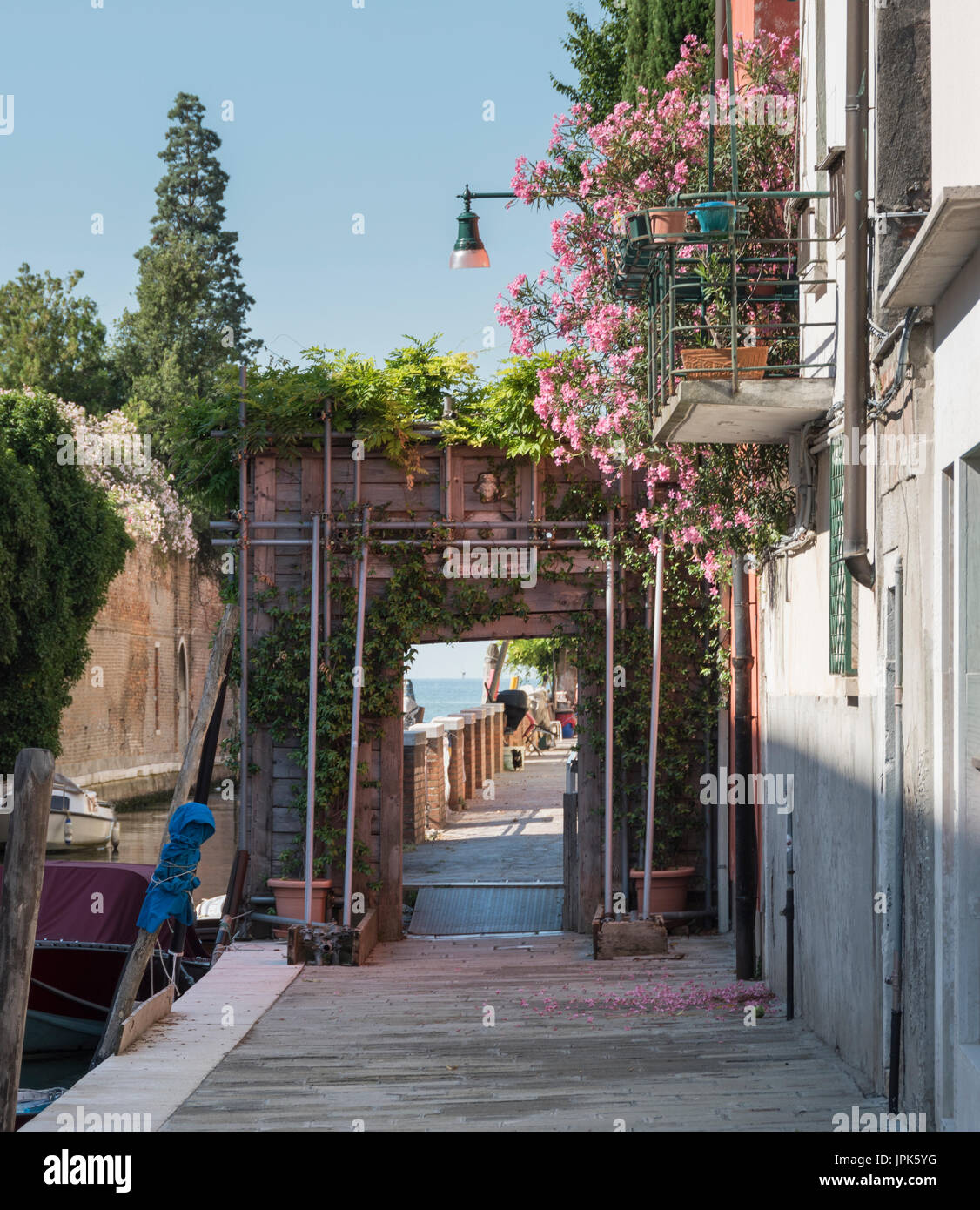 Una tranquilla scena di fiori la fuoriuscita di una scatola di vetro dal meno affollata, sobborghi periferici di Venezia sull'Isola della Giudecca. Foto Stock