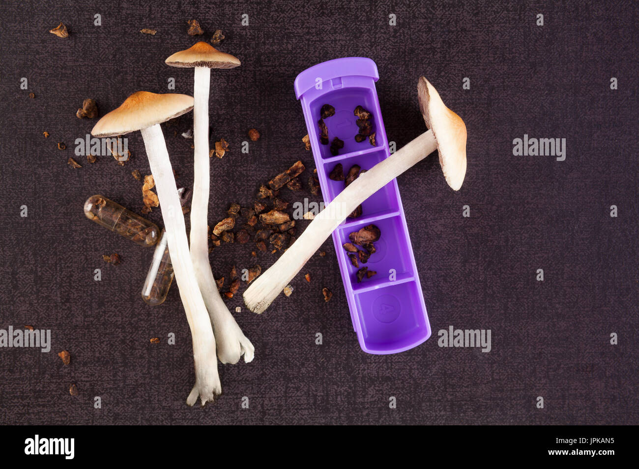 Fresca e secca la psilocibina i funghi magici sulla superficie nera, vista dall'alto. Medicina alternativa. Microdosing. Foto Stock