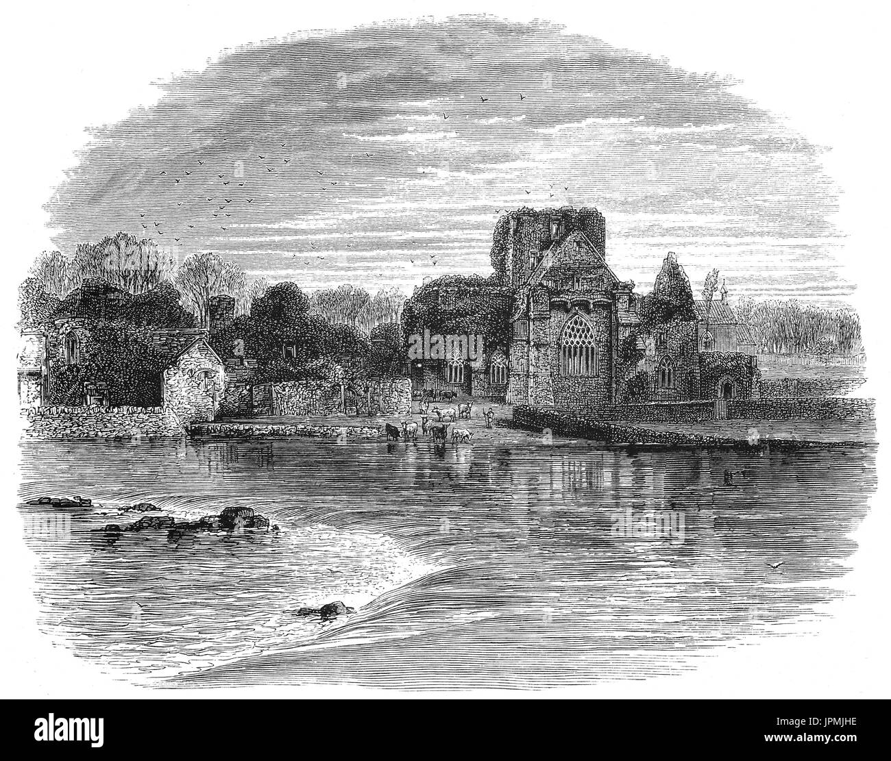 1870: il non ripristinati Santa Croce Abbey, un restaurato monastero cistercense situato sul fiume Suir. Essa prende il suo nome da un frammento della reliquia della Vera Croce santa o rood portato in Irlanda intorno al 1233 dalla Regina Plantagenet, Isabella, vedova del re Giovanni. Holycross è vicino a Thurles, nella contea di Tipperary, Irlanda. Foto Stock