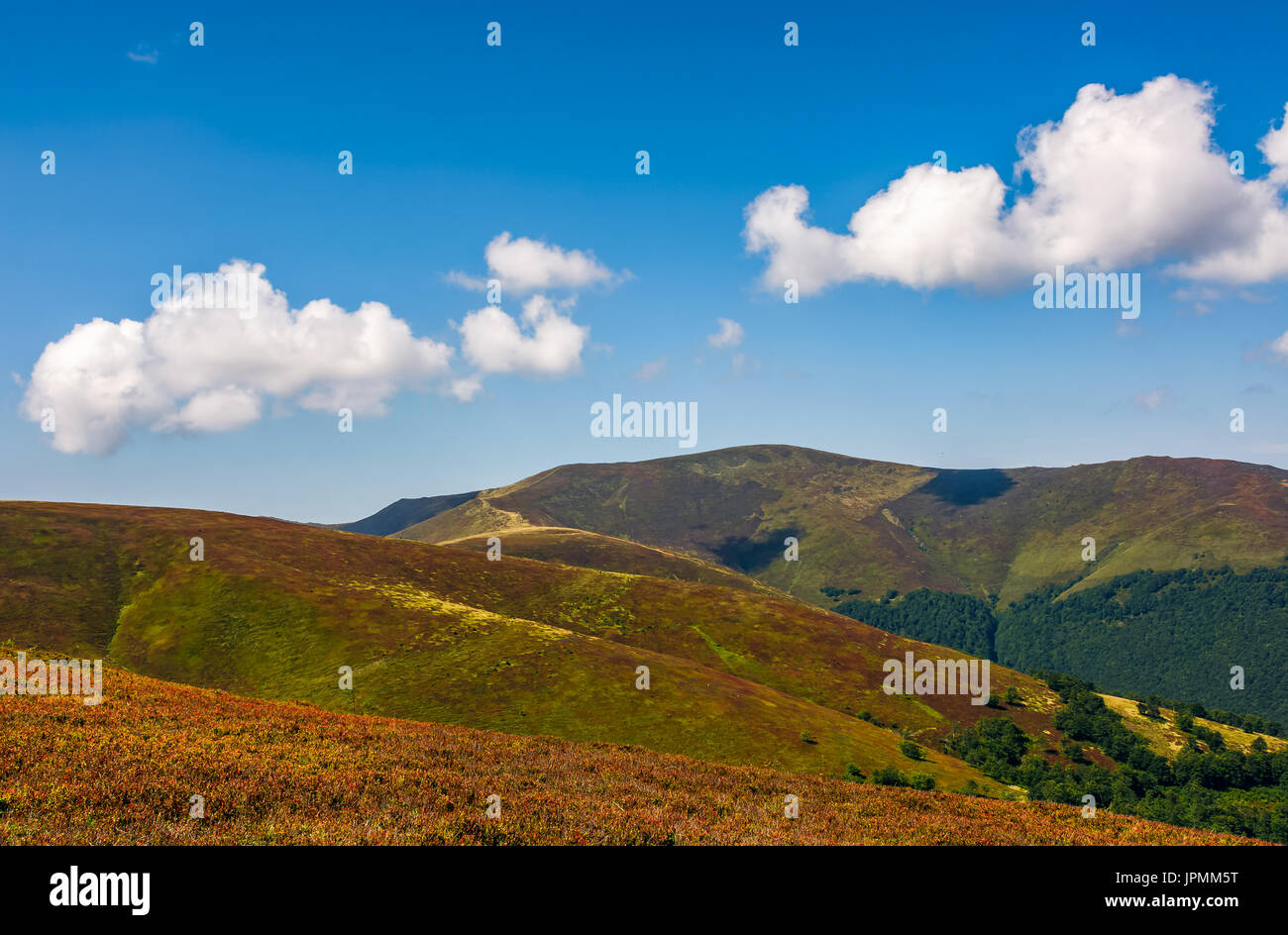 Pendio erboso di montagna cresta. bel tempo con cielo blu e poche nuvole. incantevole paesaggio estivo Foto Stock