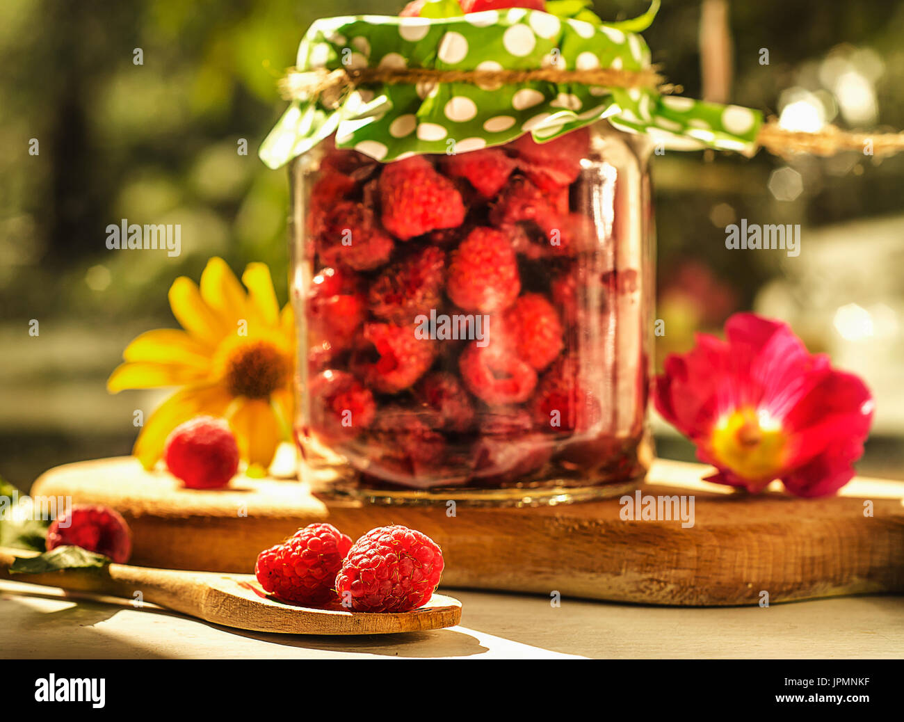 Lamponi freschi e le foglie di menta. Organici naturali vitamine - cibo sano concetto di foto Foto Stock