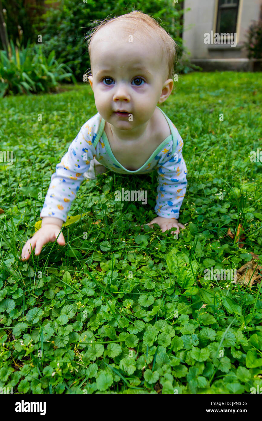 Il bambino gattona in erba Foto Stock