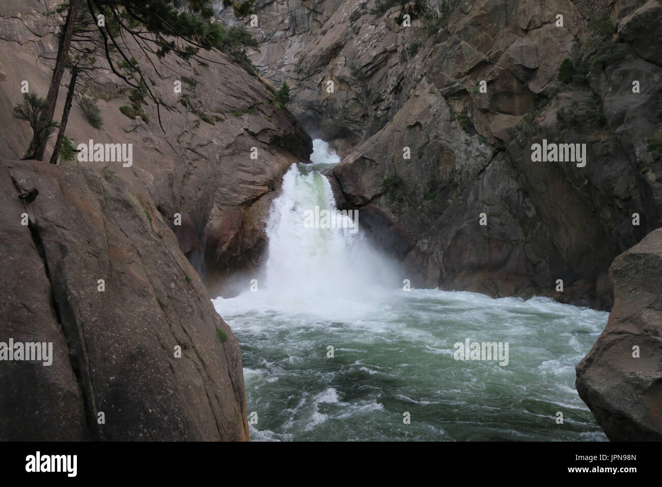 Roaring River Falls, King Canyon National Park, California, Stati Uniti Foto Stock