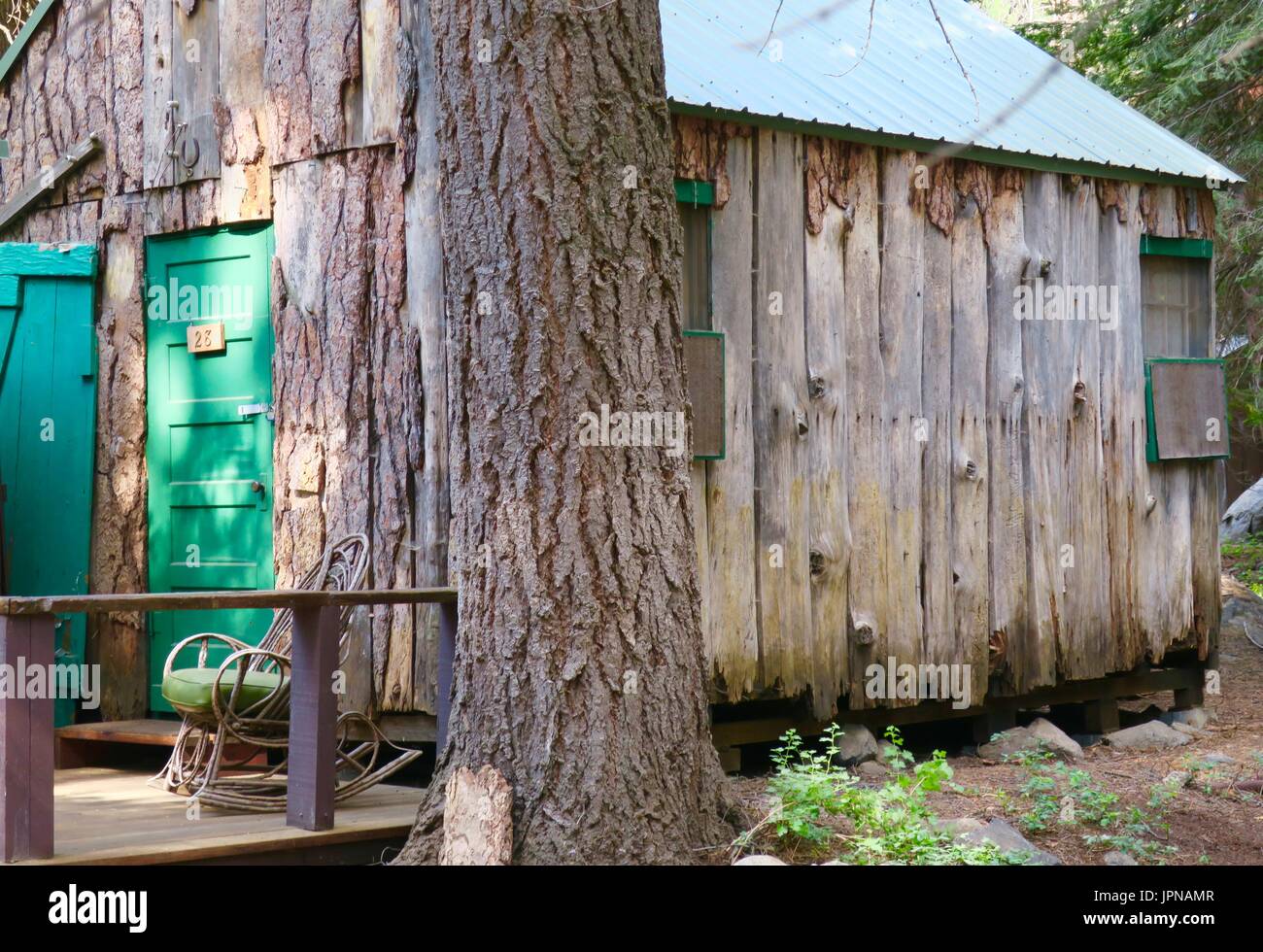 Antico casolare costruito fuori della macinazione sfridi, minerale King, area Sequoia National Park, Tulare County, California, Stati Uniti Foto Stock
