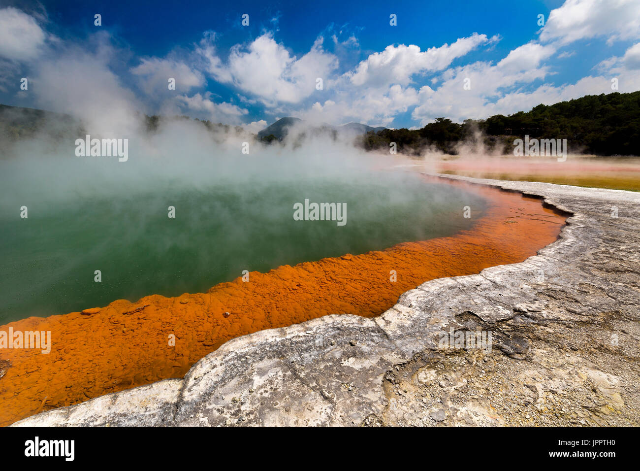 Cottura a vapore di acqua calda presso la piscina di Champagne, Waiotapu Riserva Termale, Rotorua, Isola del nord della Nuova Zelanda Foto Stock