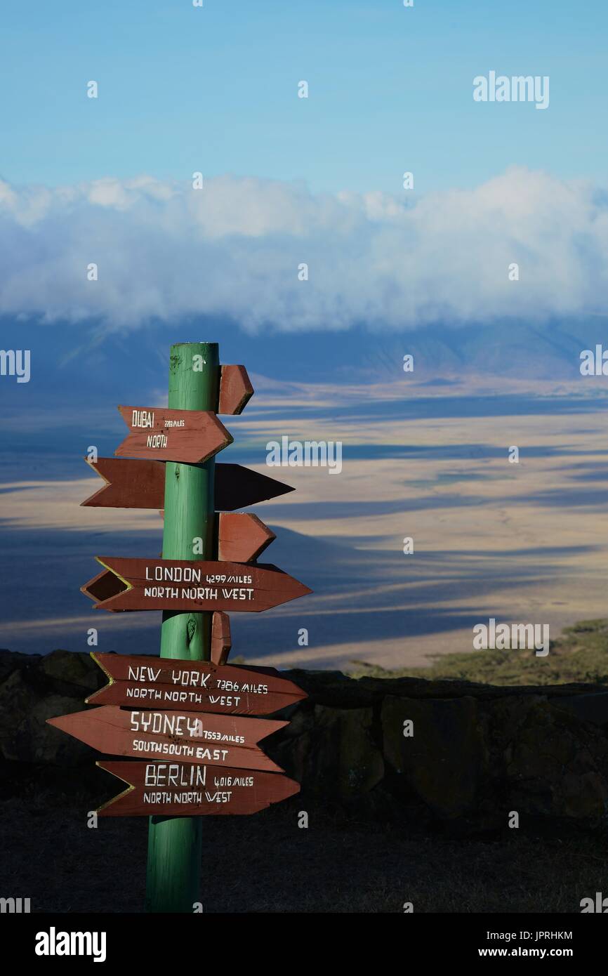 African Safari paesaggio in Tanzania Foto Stock