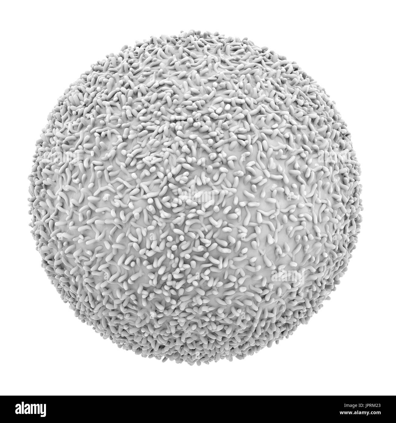 3D rendering globulo bianco isolato su bianco Foto Stock