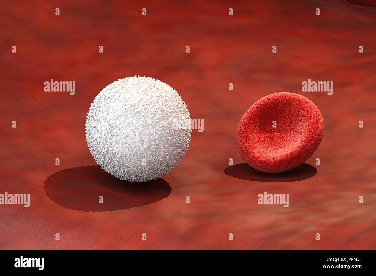 3D rendering delle cellule bianche del sangue con globuli rossi in vena Foto Stock
