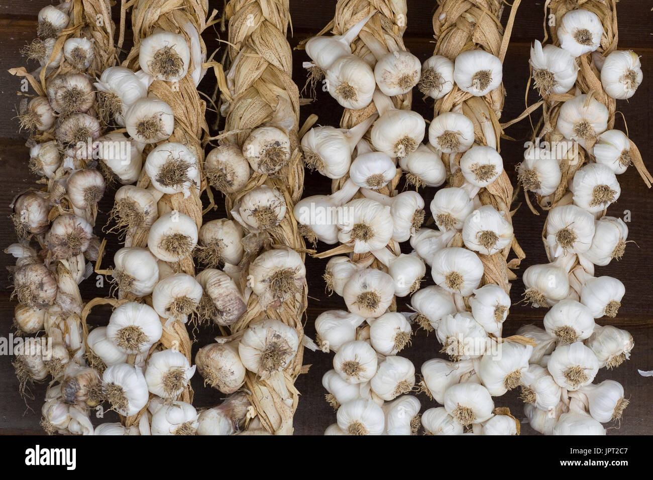 I chiodi di garofano di aglio colture essiccazione legno esterno muro del granaio Foto Stock