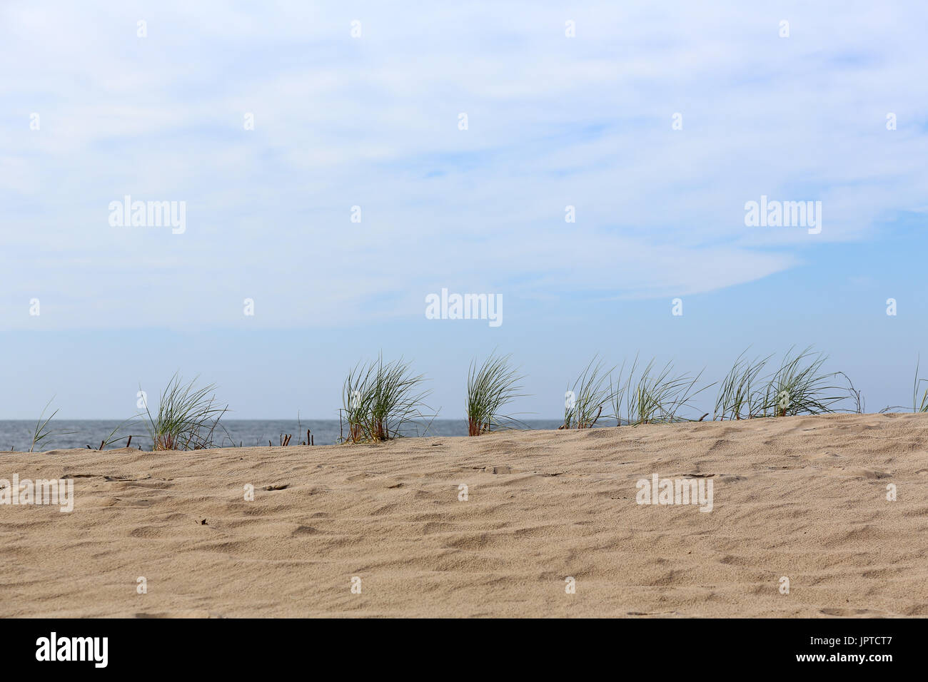 Dune di sabbia sul Mar Baltico coperto con diversi ciuffi di erba di mare Foto Stock
