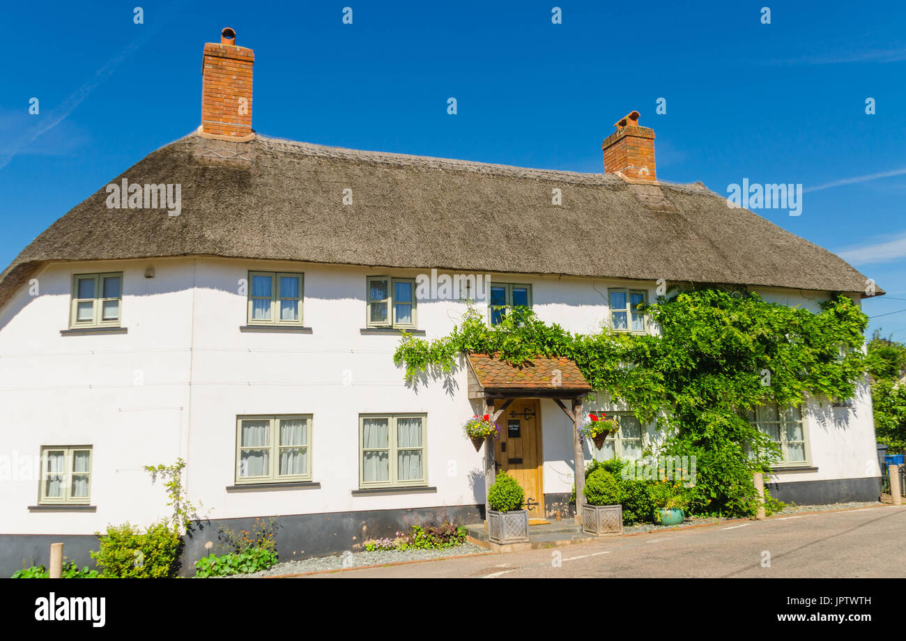 Cottage con il tetto di paglia Talaton Devon UK Foto Stock