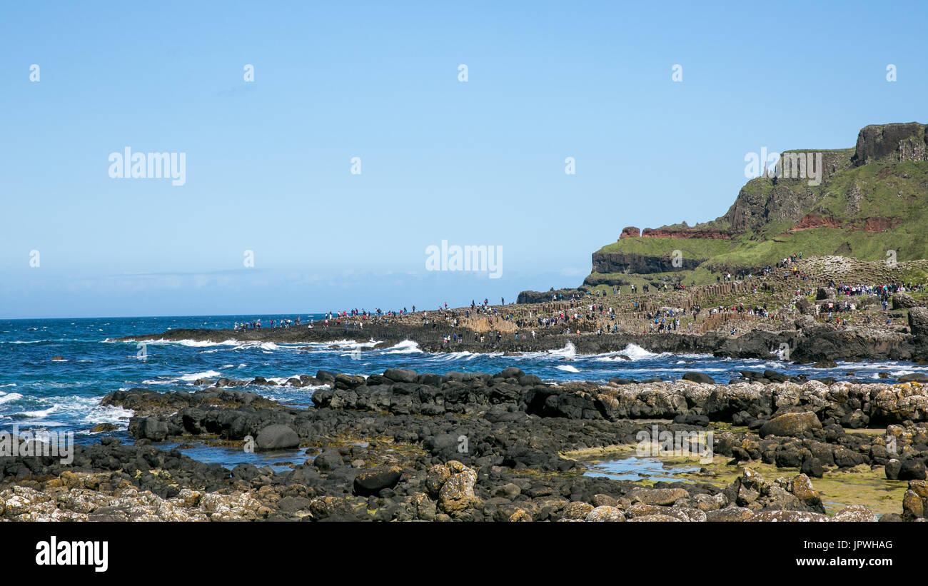 Vista sulla Giant's Causeway costa che si allunga fino all'Oceano Atlantico occupata dai turisti e visitatori Bushmills Antrim Irlanda del Nord Foto Stock