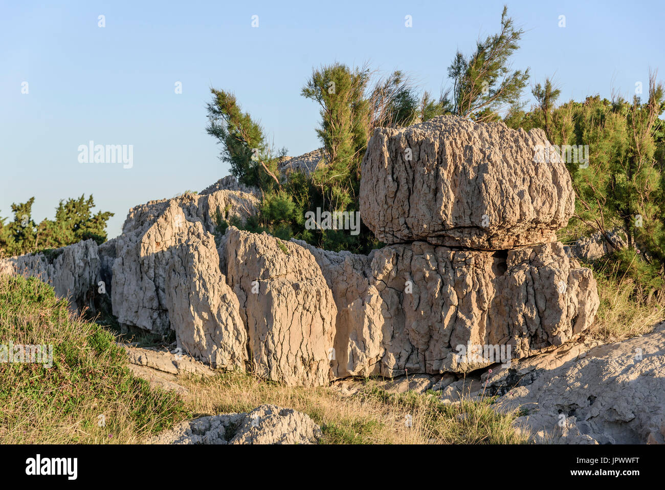 Stony suolo poroso con pietre di arenaria. Foto Stock