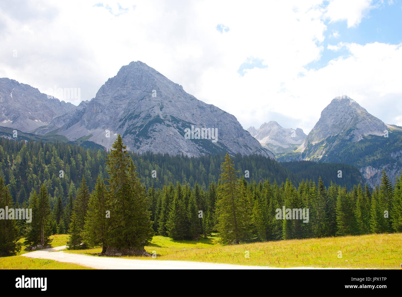 Bella vista sulle montagne in estate nel vicino a Ehrwald, Tirolo, Austria Foto Stock