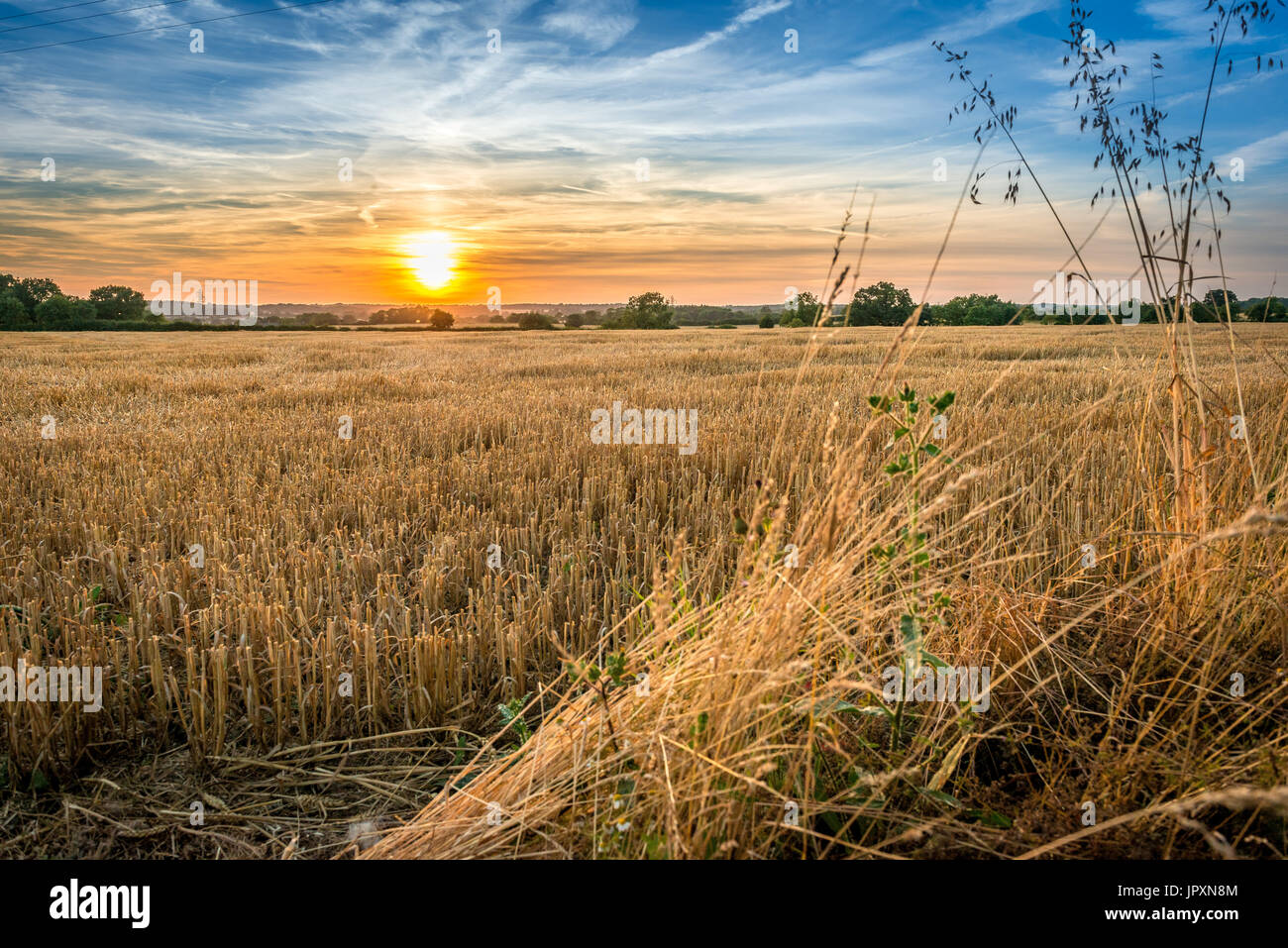 Presto la sera e il sole comincia a impostare su allevamento terreni agricoli nel Lincolnshire Fens Foto Stock