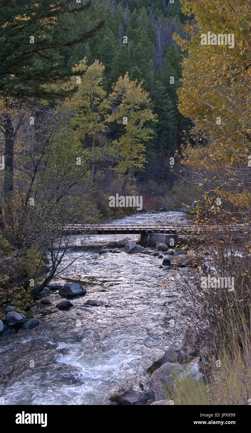Abbandonato ponte sul torrente di montagna nelle Montagne Rocciose Foto Stock