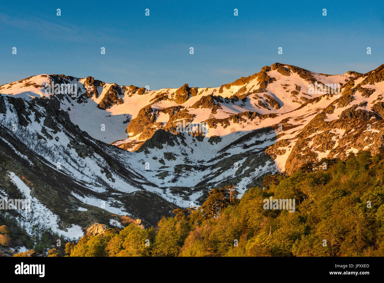 Monte Renoso massiccio, all'alba, GR 20 sentiero vicino Capannelle baita di montagna, Haute-Corse reparto, Corsica, Francia Foto Stock