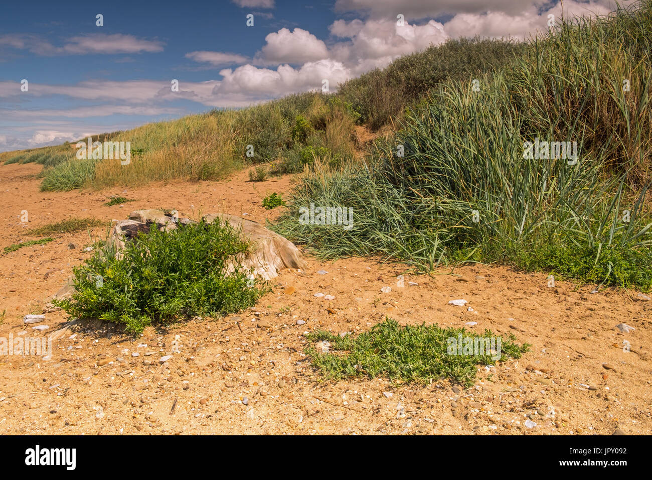 Bella spiaggia Sandbay su un giorno d'estate Foto Stock