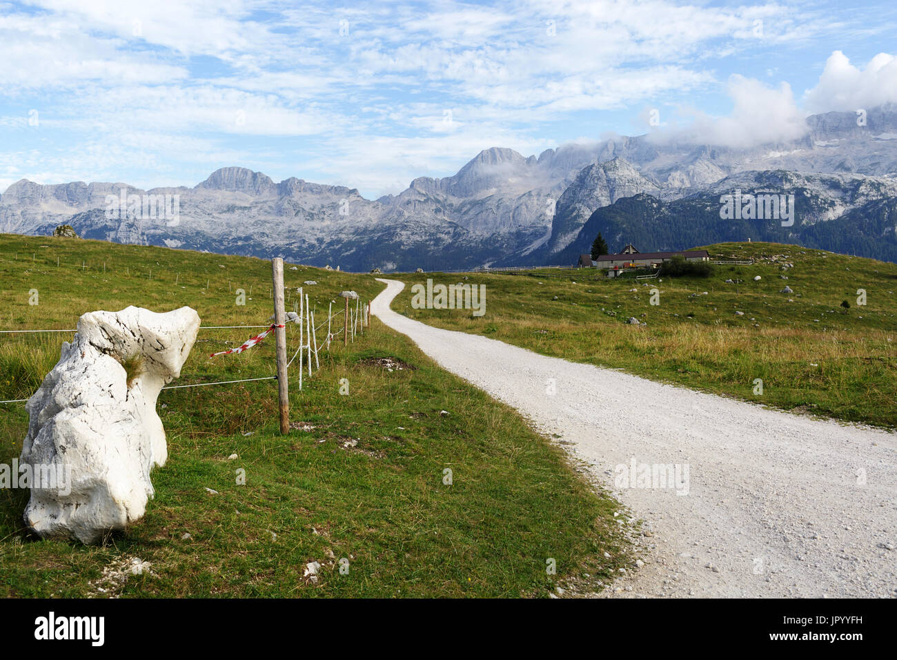 Un Sentiero Su Altopiani Del Montasio Altopiano Del