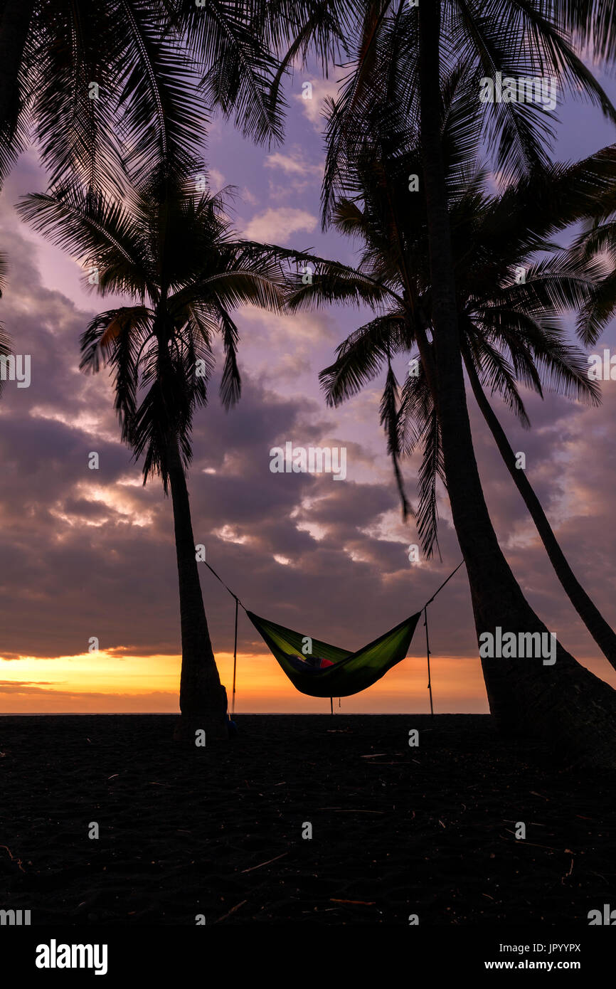 HI00230-00...Hawai'i - Dormire in una amaca all'alba a Punalu'u Beach Park sull'isola delle Hawai'i. Foto Stock