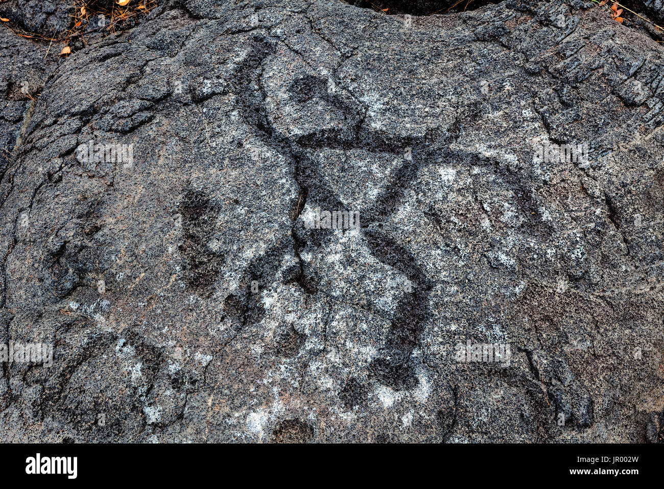 HI00257-00...Hawai'i - Pu'u Loa incisioni rupestri lungo la catena di crateri strada in Hawai'i vulcani del Parco Nazionale sull'isola di Hawai'i. Foto Stock