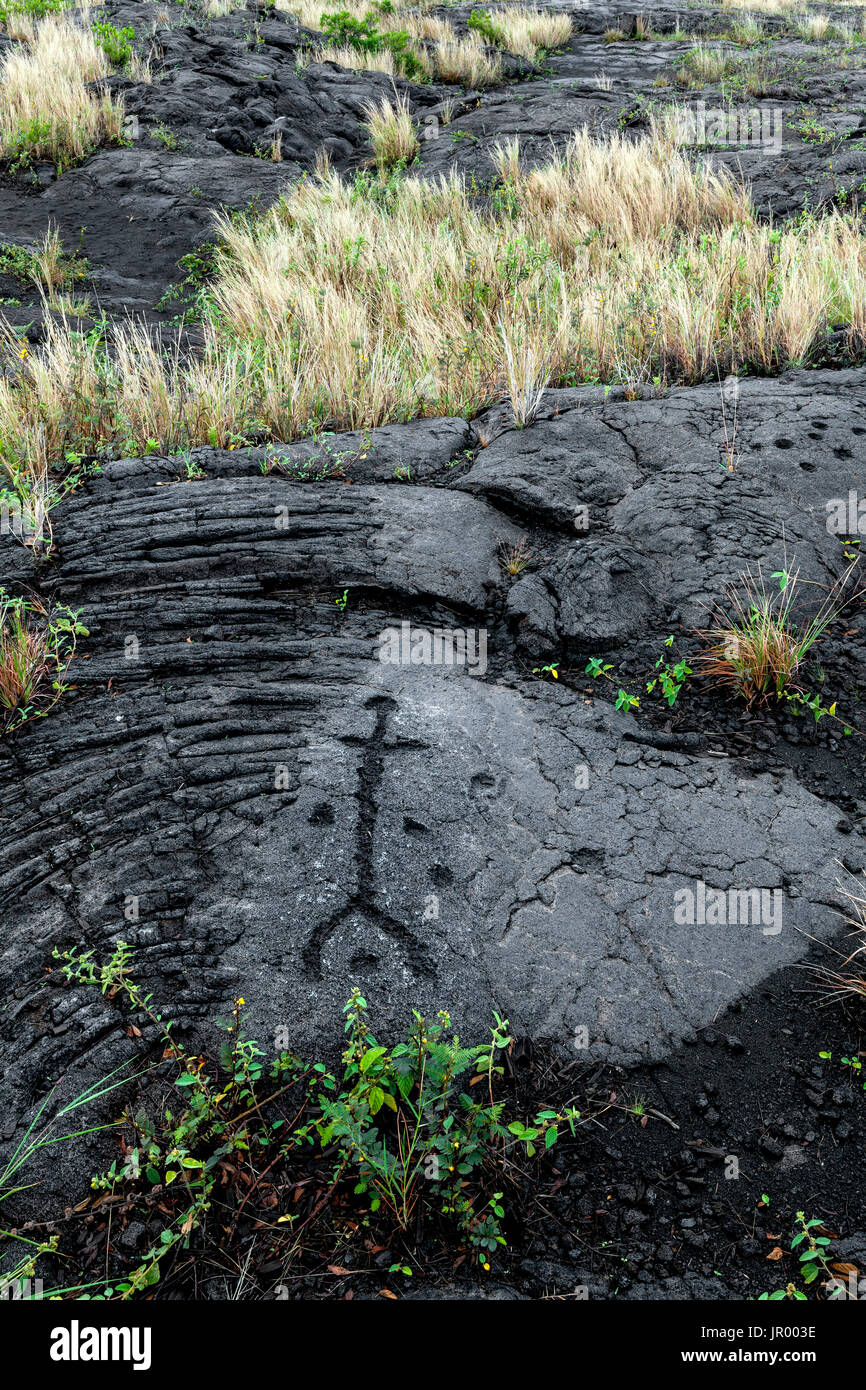 HI00258-00...Hawai'i - Pu'u Loa incisioni rupestri lungo la catena di crateri strada in Hawai'i vulcani del Parco Nazionale sull'isola di Hawai'i. Foto Stock