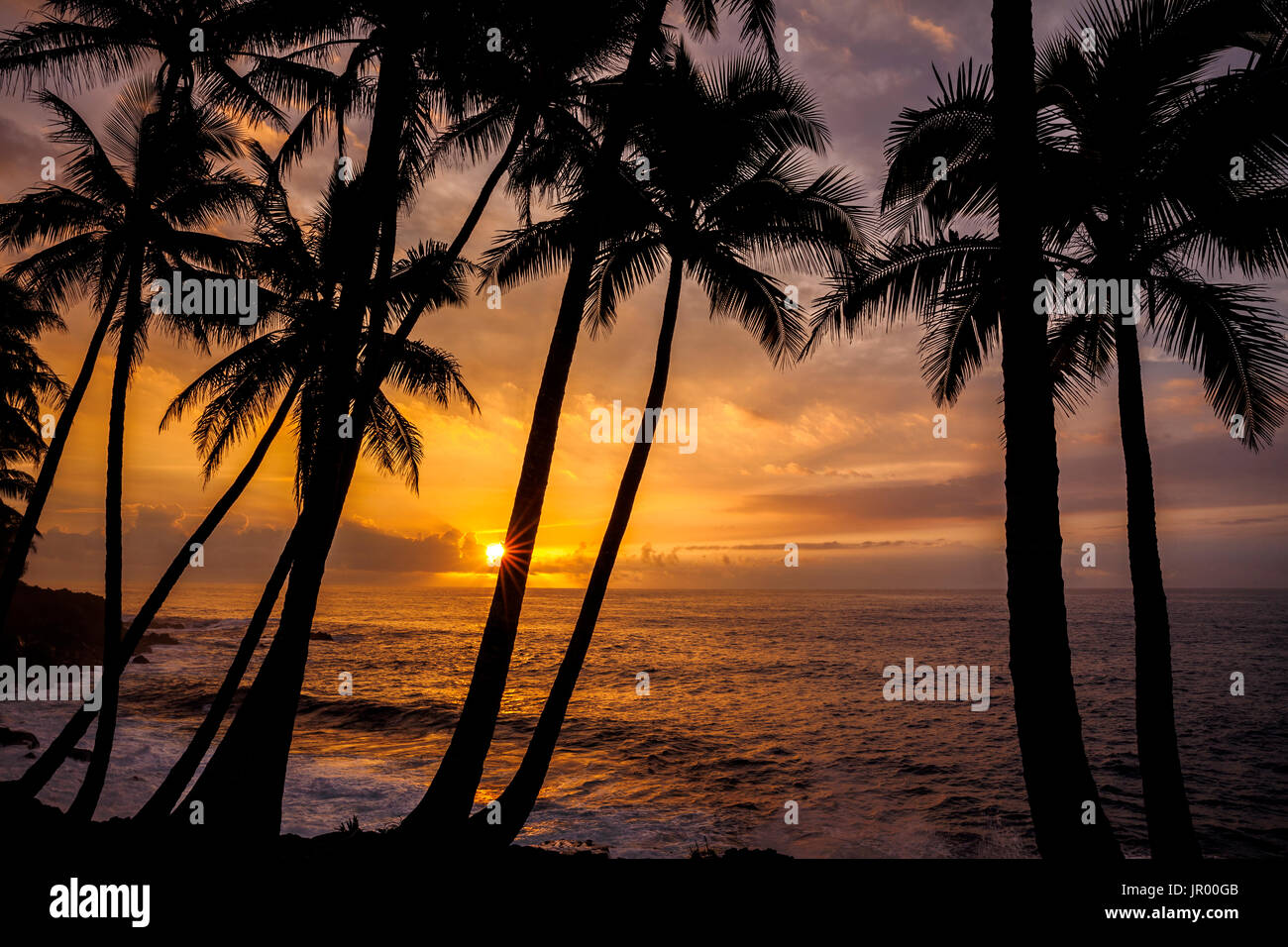 HI00316-00...Hawai'i - Sunrise lungo l Autostrada Kaimu-Kapoho 137 sull'isola delle Hawai'i. Foto Stock