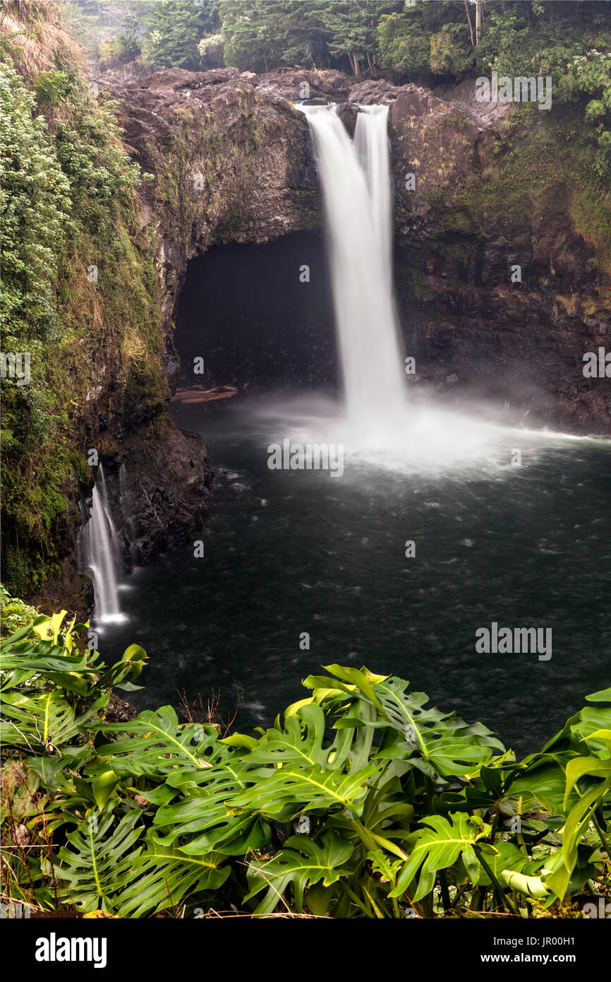 HI00321-00...Hawai'i - Rainbow Falls sull isola di Hawai'i. Foto Stock