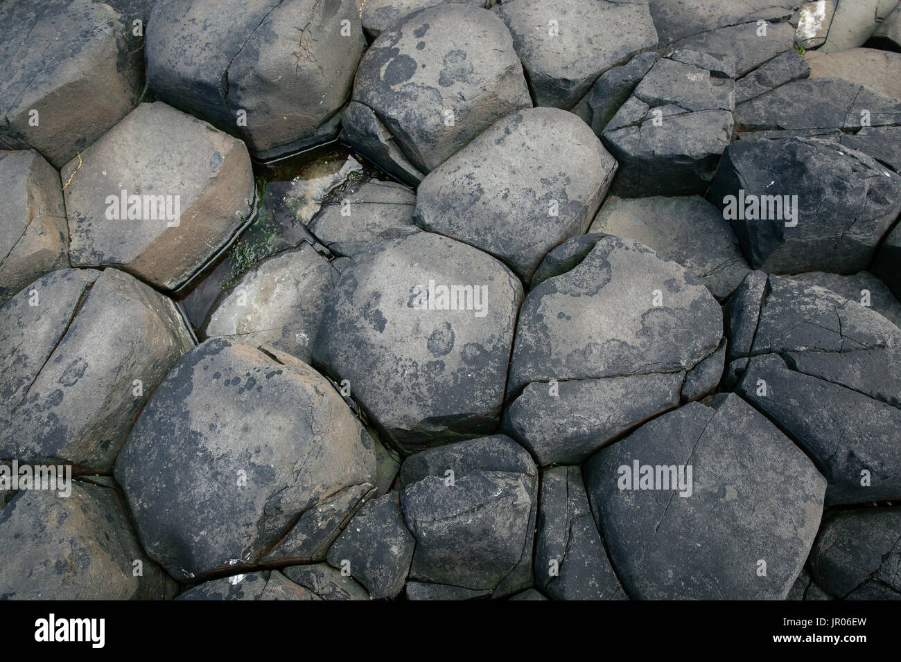 Letto di origine vulcanica rocce esagonale colonne di basalto al Giant's Causeway Coast - il patrimonio mondiale naturale in Bushmills Antrim Irlanda del Nord Foto Stock