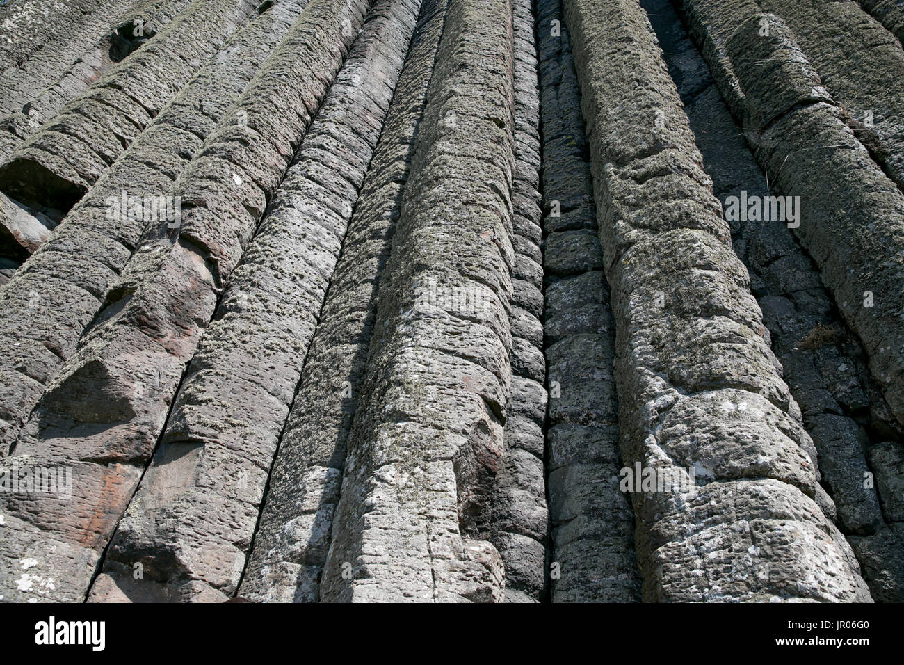 Parete affascinante di colonne verticali l'organo rocce vulcaniche al Giants Causeway patrimonio mondiale naturale in Bushmills Antrim Irlanda del Nord Foto Stock