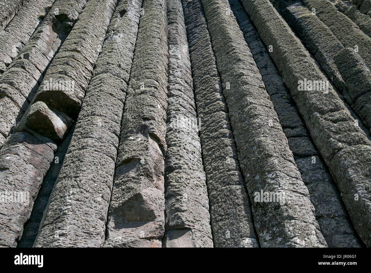 Parete affascinante di colonne verticali l'organo rocce vulcaniche al Giants Causeway patrimonio mondiale naturale in Bushmills Antrim Irlanda del Nord Foto Stock